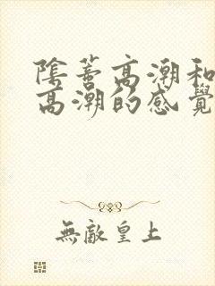阴蒂高潮和阴道高潮的感觉