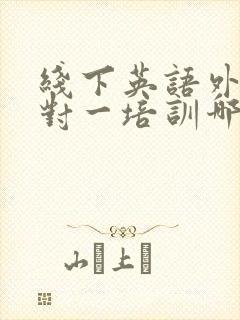 线下英语外教一对一培训哪家好