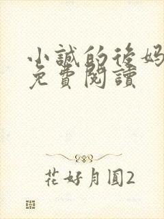 小诚的后妈小说免费阅读