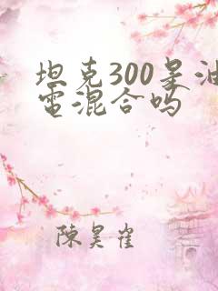 坦克300是油电混合吗