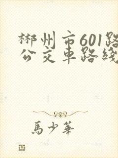 郴州市601路公交车路线及时间表 郴州市601路公交车路线及时间表