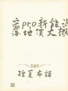 宋pro新能源落地价大概多少钱