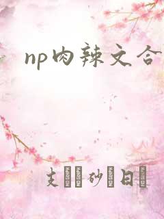 np肉辣文合集