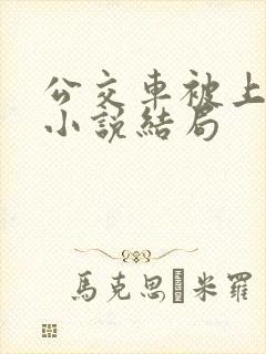 公交车被上高潮小说结局