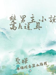 双男主小说np高h道具