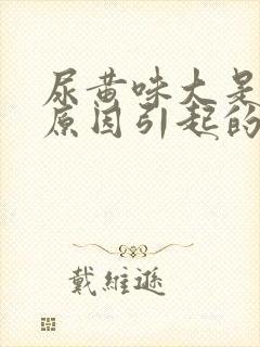 尿黄味大是什么原因引起的