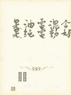 是油电混合好还是纯电动好