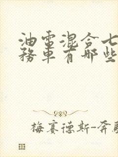 油电混合七座商务车有哪些