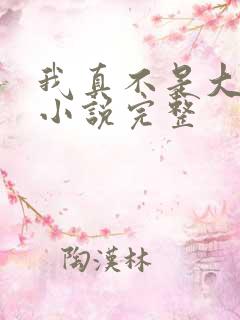 我真不是大佬 小说完整