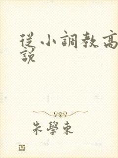 从小调教高h小说