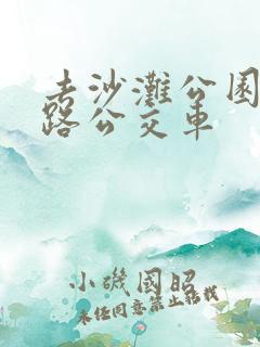 去沙滩公园坐几路公交车 去沙滩公园坐几路公交车