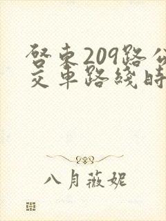 启东209路公交车路线时间表