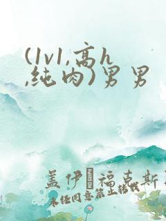 (1v1,高h,纯肉)男男