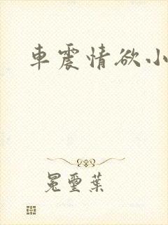 车震情欲小说