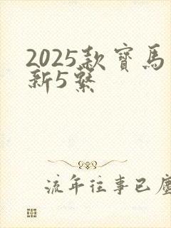 2025款宝马新5系
