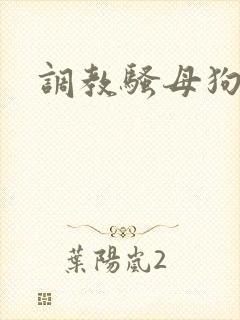 调教骚母狗被艹