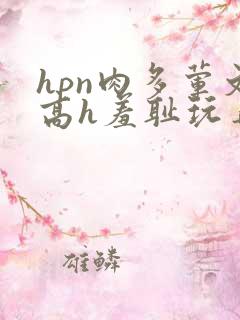 hpn肉多荤文高h羞耻玩弄
