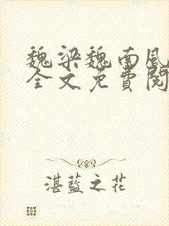 魏梁魏南风po全文免费阅读笔趣阁