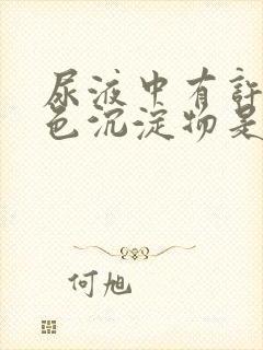 尿液中有许多白色沉淀物是什么原因