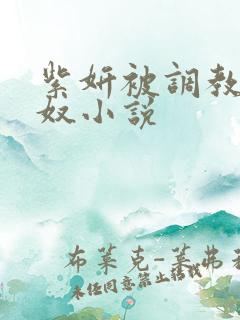 紫妍被调教成肉奴小说