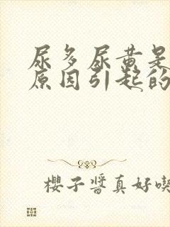 尿多尿黄是什么原因引起的