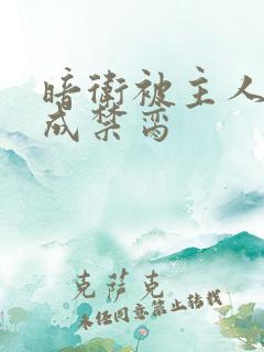 暗卫被主人调教成禁脔 暗卫被主人调教成禁脔