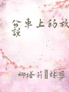 公车上的放荡小说