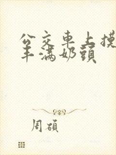 公交车上摸少妇丰满奶头