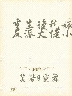 重生后我嫁给了反派大佬小说免费阅读