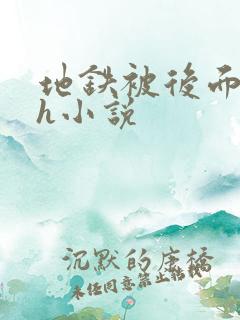 地铁被后面进了h小说