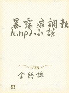 暴露癖调教(高h,np)小说