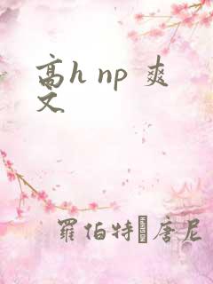 高h np 爽文