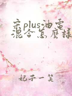 宋plus油电混合怎么样