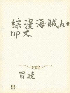 综漫海贼h啪肉np文