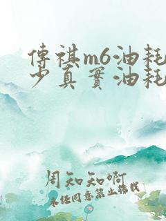 传祺m6油耗多少真实油耗多少钱一公里