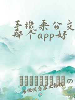 手机乘公交地铁哪个app好