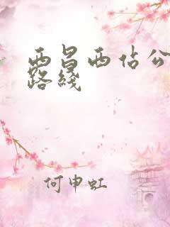西昌西站公交车路线