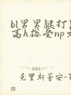 bl男男腿打开高h总受np文