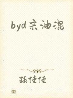 byd宋油混