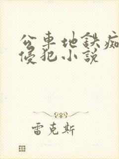 公车地铁痴汉h侵犯小说