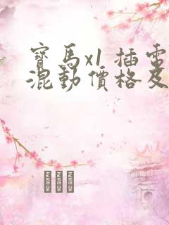宝马x1 插电混动价格及图片