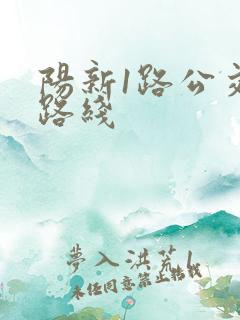 阳新1路公交车路线