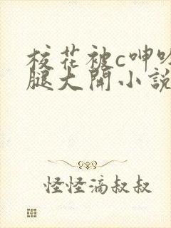 校花被c呻吟双腿大开小说