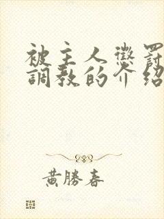 被主人惩罚玩弄调教的介绍