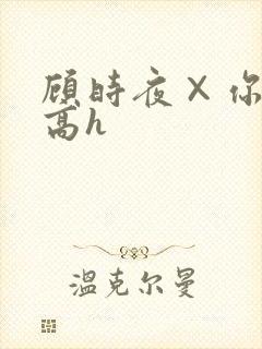 顾时夜×你车肉高h