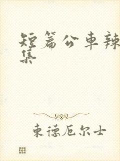 短篇公车辣文合集