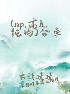 (np,高h,纯肉)公车 (np,高h,纯肉)公车