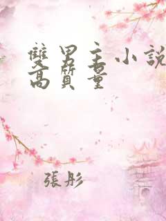 双男主小说推荐高质量