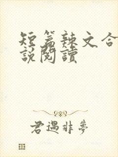 短篇辣文合集小说阅读