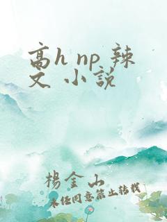 高h np 辣文 小说